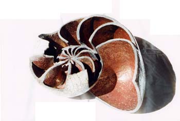 Halbe Schnecke, Brenntechnik: Raku