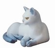 Katze