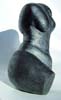 Torso